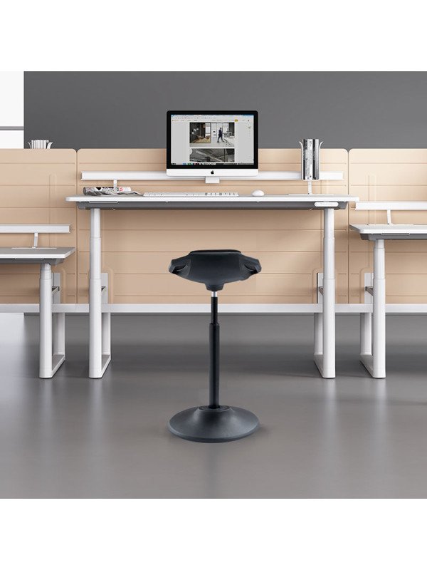 Balanspall Ergo