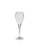 Champagneglas 16 cl Brio, 24-pack